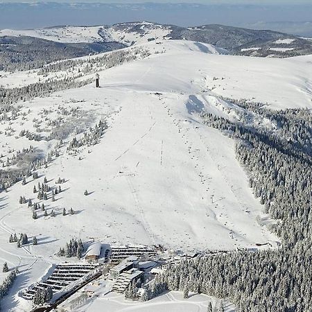 Appartement Residenz Grafenmatt Feldberg à Feldberg  Extérieur photo